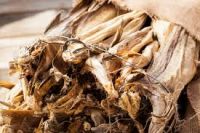 Stockfish for sale