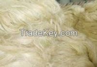 Sisal Fibre on sale 