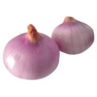 Red Onion