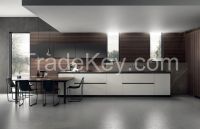 Aster Cucine/Model Contempora