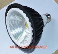 LED Par30  Light COB 15W From China