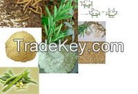 Guar Gum