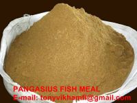 Pangasius fish meal 60%-65% protein