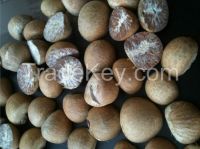 Dried Betel Nut