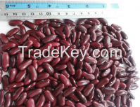 Red Kidney Beans