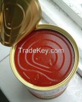 canned tomato paste/sauce/ketchup/puree From China