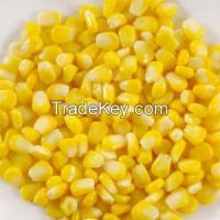 Canned Sweet Corn From China