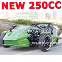 250cc Trike Three Wheels Motorcycle Tricycle