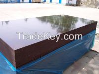 CC Brand Black/brown Film Faced