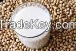 high grade soy powder milk