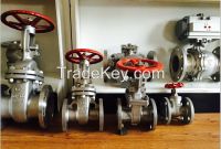 ANSI/JIS flanged gate valve , SS304/316 , A216 WCB