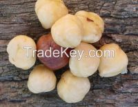 China roasted buckwheat kernels From Hong Kong