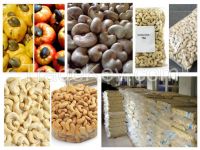Dried Style S.A Cashew Nuts/ Cashew Kernels ww240/ ww320/ ws/ lp