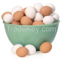 Top grade Fresh White and brown eggs