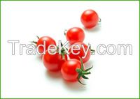 Cherry Tomatoes