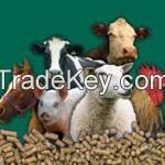 Animal Feed