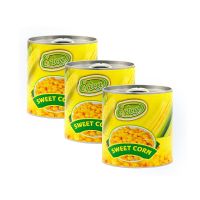 Manufacturer of Canned Sweet Corn Easy Open good taste Sweet Kernel Corn in Can From South Africa