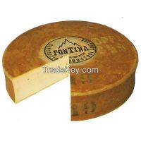 Fontina Cheese