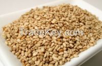 Sesame Seeds Oil Content Min.48%, 50%, 52%