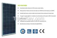 Shine Solar 145W 12V Poly Solar Module