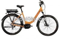 High Speed  Electric Bicycle with Central Driven Motor(M650)