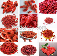 Lycium Bararum, Goji berry, Ningxia Wolfberry 