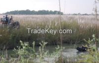 Bardia National Park Jungle Safari in Nepal