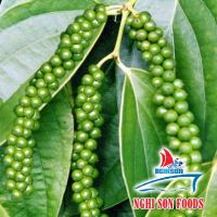 Vietnam Black pepper best quality (+84342828779)