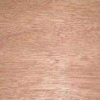 BINTANGOR PLYWOOD