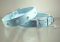 Dog Collar-FD-C006