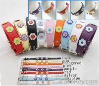 Dog Collar FD-C020