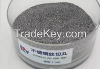 stainless steel cut wire shot From China