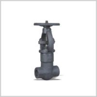 Forged Steel Gate Valve