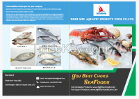 Indian Mackerel