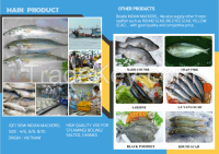 Indian Mackerel