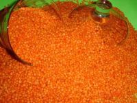 https://cn.tradekey.com/product_view/Green-Red-And-Brown-Lentils-Yellow-Lentils-Grade-A-For-Sale-8515093.html