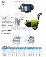 High pressure washer motor