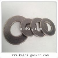 Reinforced Graphite Gasket