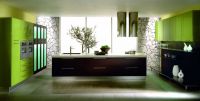 Oak veneer/laquered kitchen