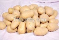 Fresh Potatoes 