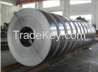 Stainless Steel Strip