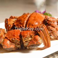 Mitten Crab