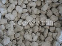 Pumice Stone