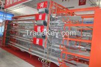 Hot sales H type multi-tier battery layer cage(China Manufacturer/Factory)