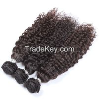 Queen Preferred kinky curl virgin Filipino human hair extension