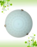 Sell Ceiling Lamp