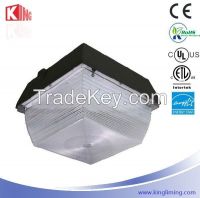 LED Canopy Light