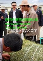 Special Silage Hemp Rope For Sale