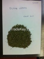 thyme