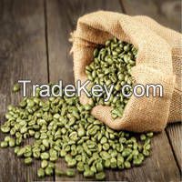 Natural Green Coffee Bean Extract Bulk Pure Chlorogenic Acid with UV/HPLC